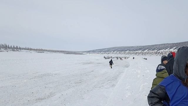 Слет оленеводов в Оленьке
