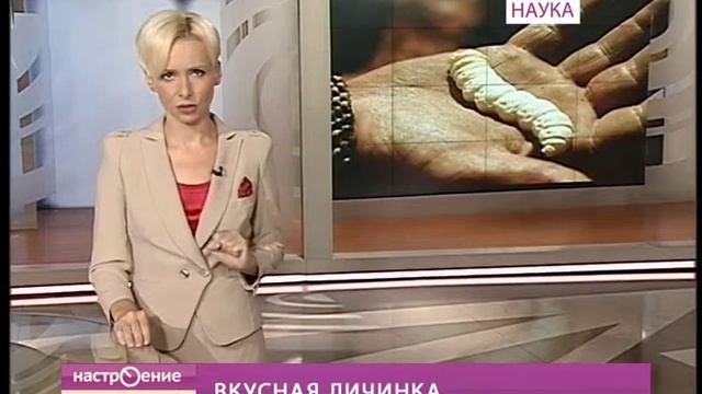 Новости науки. 14.08.2012. Гамбургер из насекомых смотреть онлайн