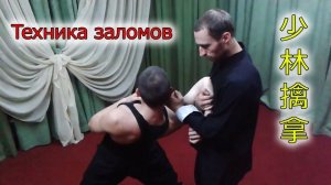 Техника захватов и заломов Цинь На. Кунг-фу Шаолинь