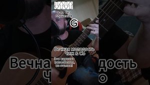 Вечная молодость – Чиж & Co
