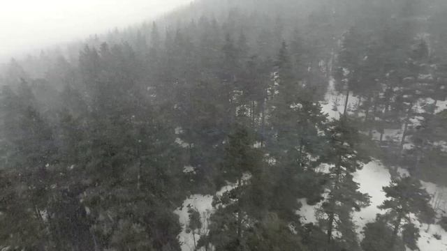 ASMR Снежная буря звучит для сна и отдыха | Звуки снежной бури, сильный ветер Красивая природа смотреть онлайн