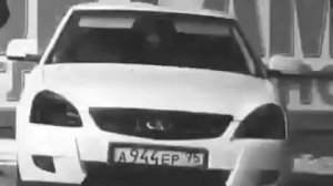 Фонтанчик с чёрным дельфином