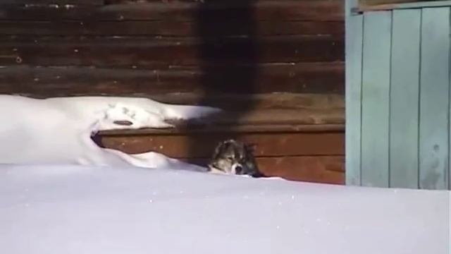 Lovozero.ru Рок-н-ролл на снегоходах. смотреть онлайн