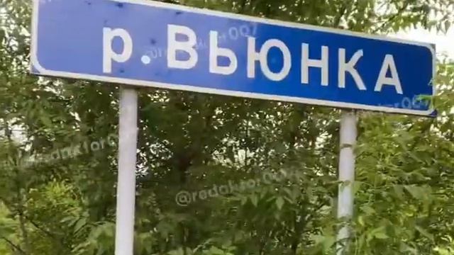 Живой крокодил в реке в Подмосковье смотреть онлайн