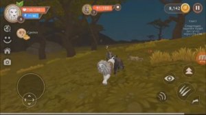 Wildcraft🎮 подвезли обновочку 🎮 симулятор жизни животных