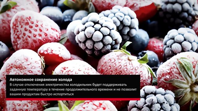 Холодильная камера Hansa Retro FM1337.3WAA смотреть онлайн