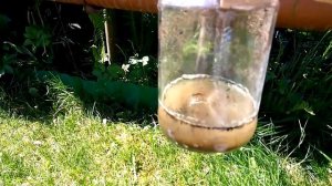 PH почвы. Кислотность почвы. Как определить кислотность почвы