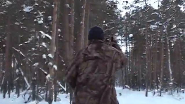 тайга сибирская Тагар, буран к берлоге смотреть онлайн