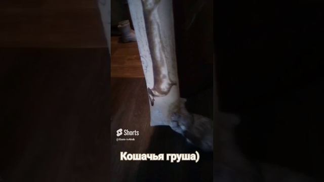 24 февраля 2024 г. (2).mp4
