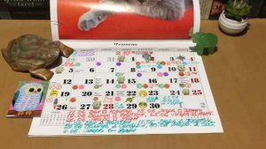 ОСТАНОВКА САТУРНА 17 ИЮНЯ 2023 ГОДА. АСТРОЛОГИЧЕСКИЙ ПРОГНОЗ ДЛЯ #.КОЗЕРОГОВ ПРАКТИЧЕСКИЕ СОВЕТЫ.