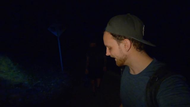 Aphonopelma seemanni - Wild Tarantula Documentary смотреть онлайн