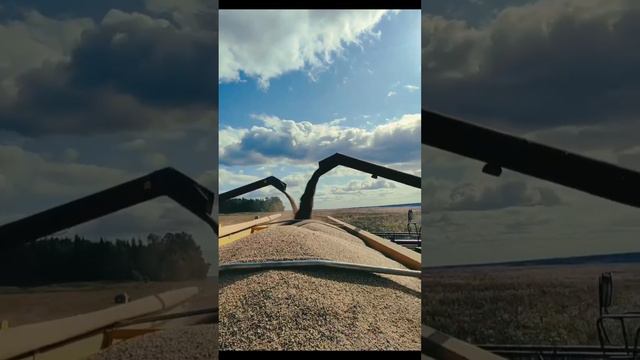 Уборка 2024 смотреть онлайн