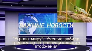 "Угроза миру". Ученые забили тревогу из-за разрушительного "вторжения"