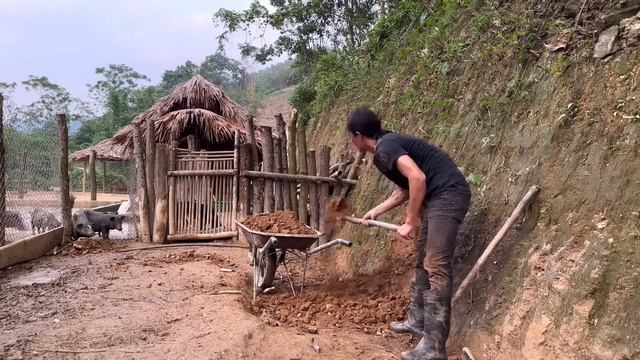 Harvesting Wild Grapes In The Forest Goes to the market sell, Take care of the pet, Vàng Hoa смотреть онлайн