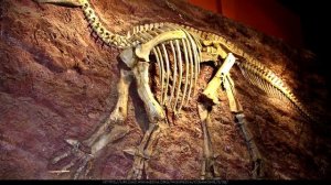 Когда впервые обнаружили кости динозавра?