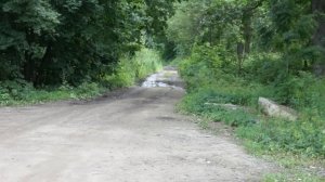 Как найти ВМК-1 в Петергофе