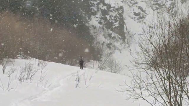 2 часа пешком по Архызу и Архызскому заповеднику - ушатались))