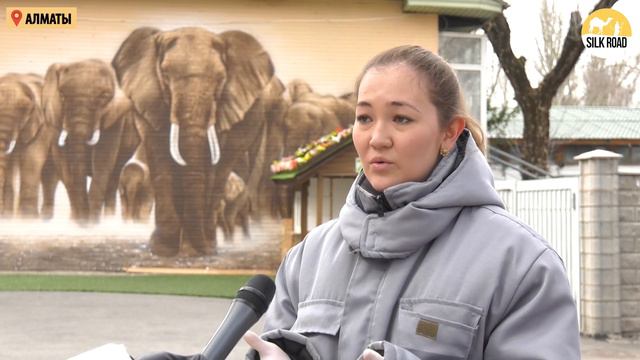 Зоопарк во время карантина смотреть онлайн