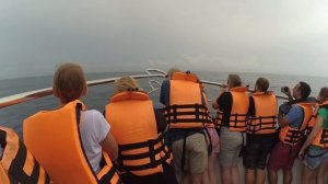 [ШРИ-ЛАНКА] Как мы китов смотрели.