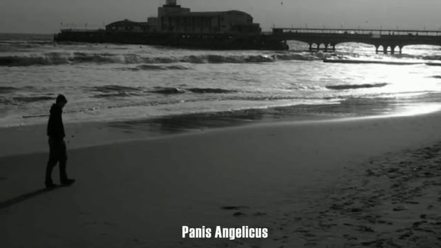 Stjepan Hauser Cello (7) смотреть онлайн