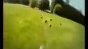 Мульт про божью коровку. Прикольно.