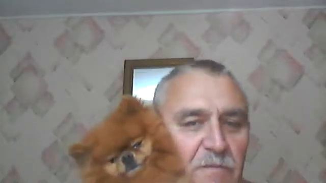 Я и Рей! смотреть онлайн