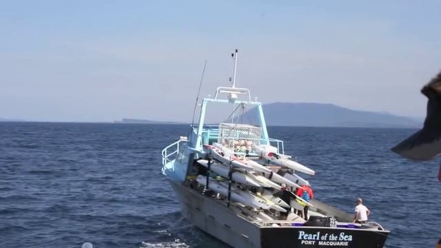 Ski Venture смотреть онлайн