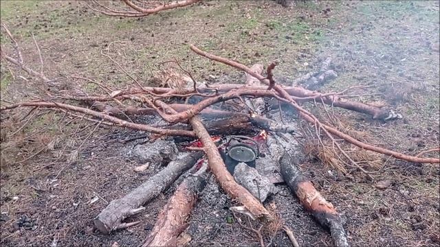 3 Октября 2023г. Осенний выезд на природу группы Белорецких инвалидов. Вальс-Бостон Розенбаум смотреть онлайн