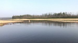 Граница между Амгинским и Алданским районами. Река Амга. Якутия. Amga River. Амма