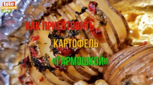 Картошка-гармошка - готовим проще простого