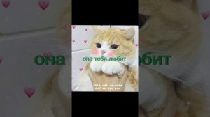 пой эту песню если ты: версия про маму