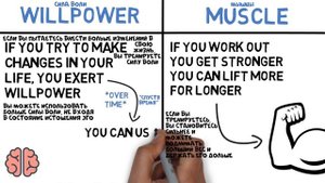 Как Развить Самодисциплину | Курс Укрощение - Урок 10