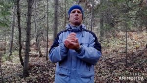 Сибирский волк