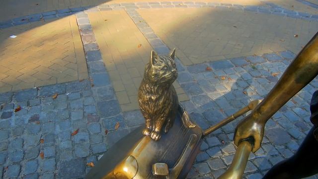 Зеленоградск.Кошачья Столица (Часть 6)