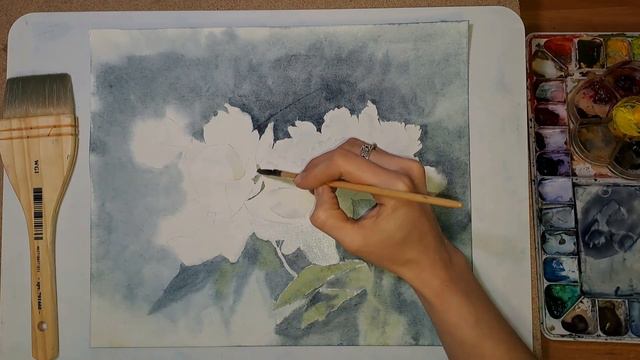 Рисую белые пионы на тёмном фоне акварелью. How to paint white peonies with watercolors.