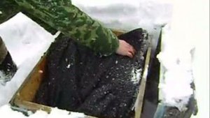 Дача канди 13 марта