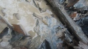 Hover H5 удивил нас     Покатушки на старой просеке!!!