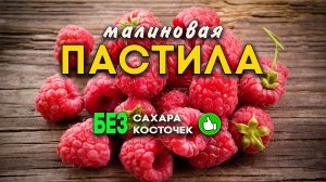 Пастила из малины без сахара и без косточек