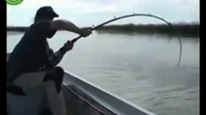 Ловля гигантского сома на удочку