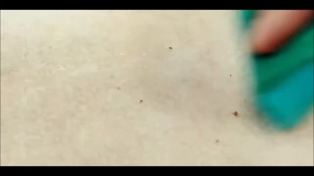 Микрофлок Casper смотреть онлайн