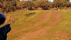 Kral Puncher maxi 5.5 Pcp 100 Metre