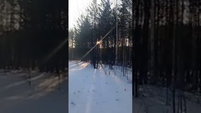 Уральский Мастер-как бросить курить. смотреть онлайн