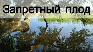 ✓Запретный плод - Степанида и Пахом.