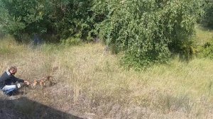 ЭКСКУРСИЯ В ПРИПЯТЬ. ЕДА В СТОЛОВОЙ НА ЧАЭС. ГДЕ РАДИАЦИЯ? 30 КМ ЗОНА И ПРИПЯТЬ СЕГОДНЯ. ЧЕРНОБЫЛЬ.