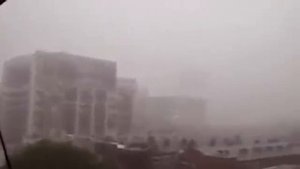 10 Гигантских Страшных Монстров, Снятых На Камеру
