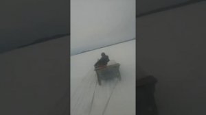 #Покатушки arctic cat 660 турбо