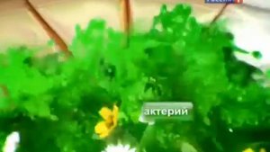 Реклама (Россия-1, 08.07.2012)