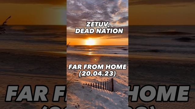 #chillphonk
