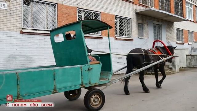 Максим Фадеев и Поп на Телеге смотреть онлайн