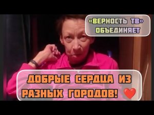 СПАСЕНИЕ ЖИВОТНЫХ НАШЕ ОБЩЕЕ ДЕЛО! Города объединяются с «ВЕРНОСТЬ ТВ»